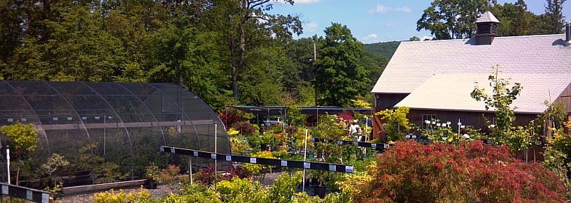 History Broken Arrow Nursery The Nursery Part Of Business Started In 1984 Elishing Broken Arrow As A Full Time Venture For And Sally Jaynes
